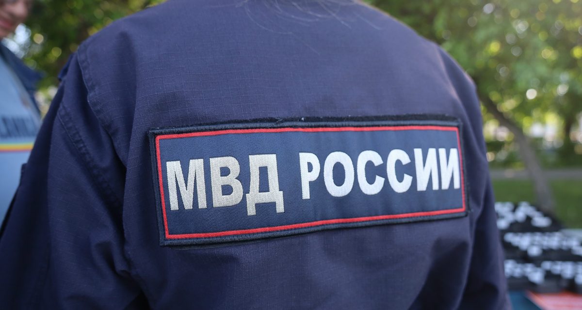 Медведь напал на пенсионерку возле СНТ, полицейский применил оружие для обезвреживания хищника
