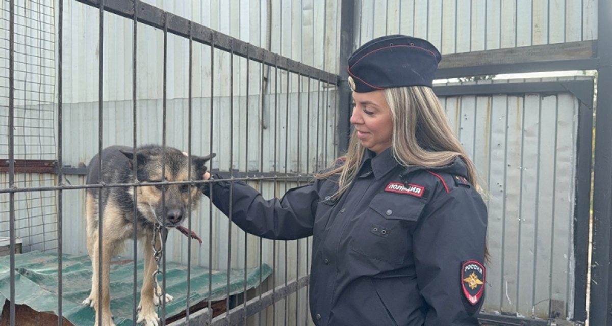 В Юрге школьники собрали корм и приехали в приют, где их встретили звонким разноголосьем